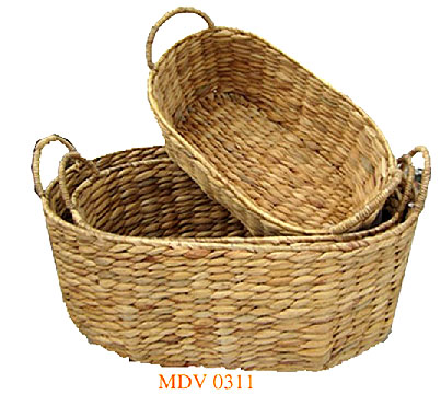 MDV 0311
